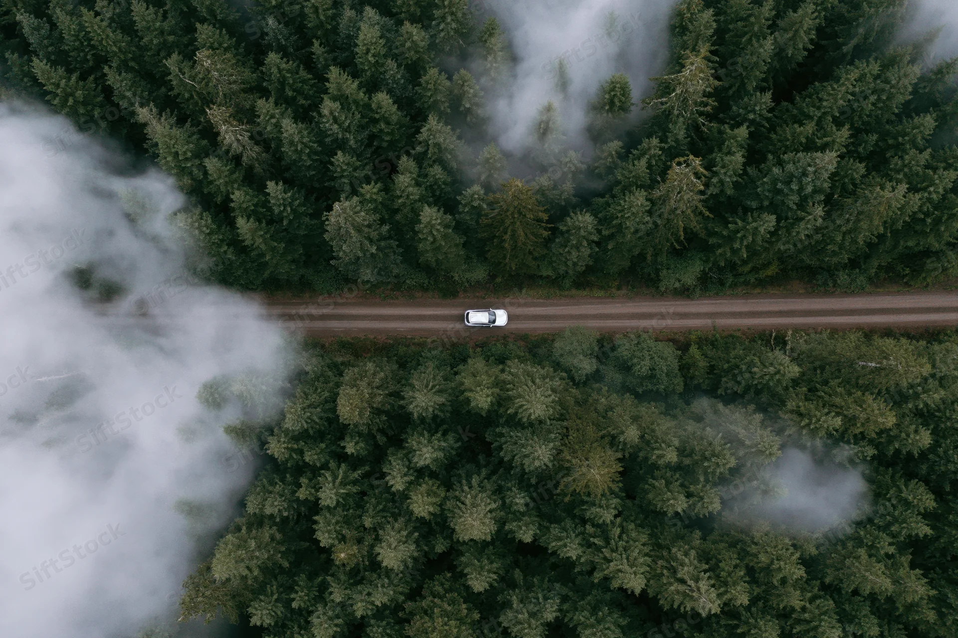 White car driving on a forest road seen from above through mist and trees
