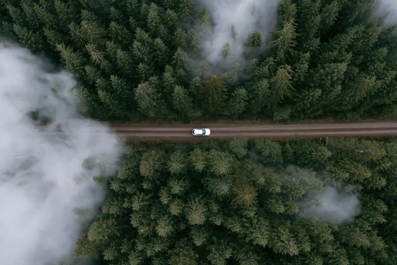 White car driving on a forest road seen from above through mist and trees