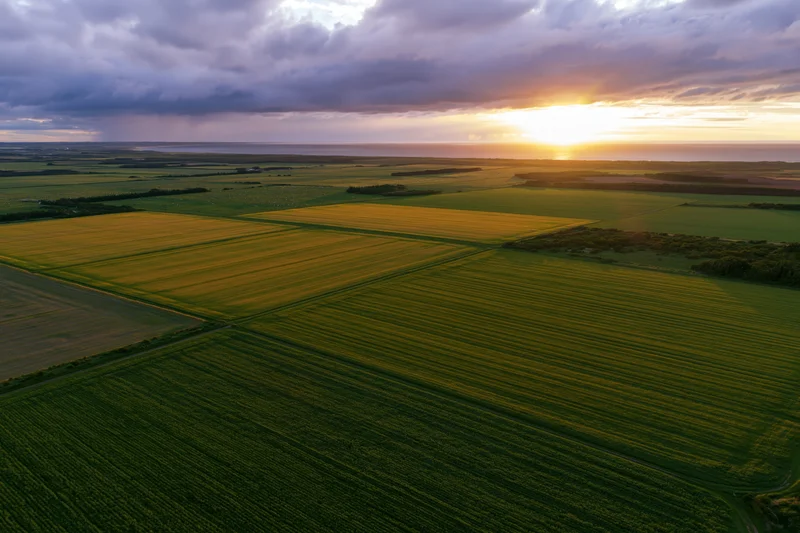 Aerial drone view of patchwork farmland at sunset with golden and green fields under cloudy sky