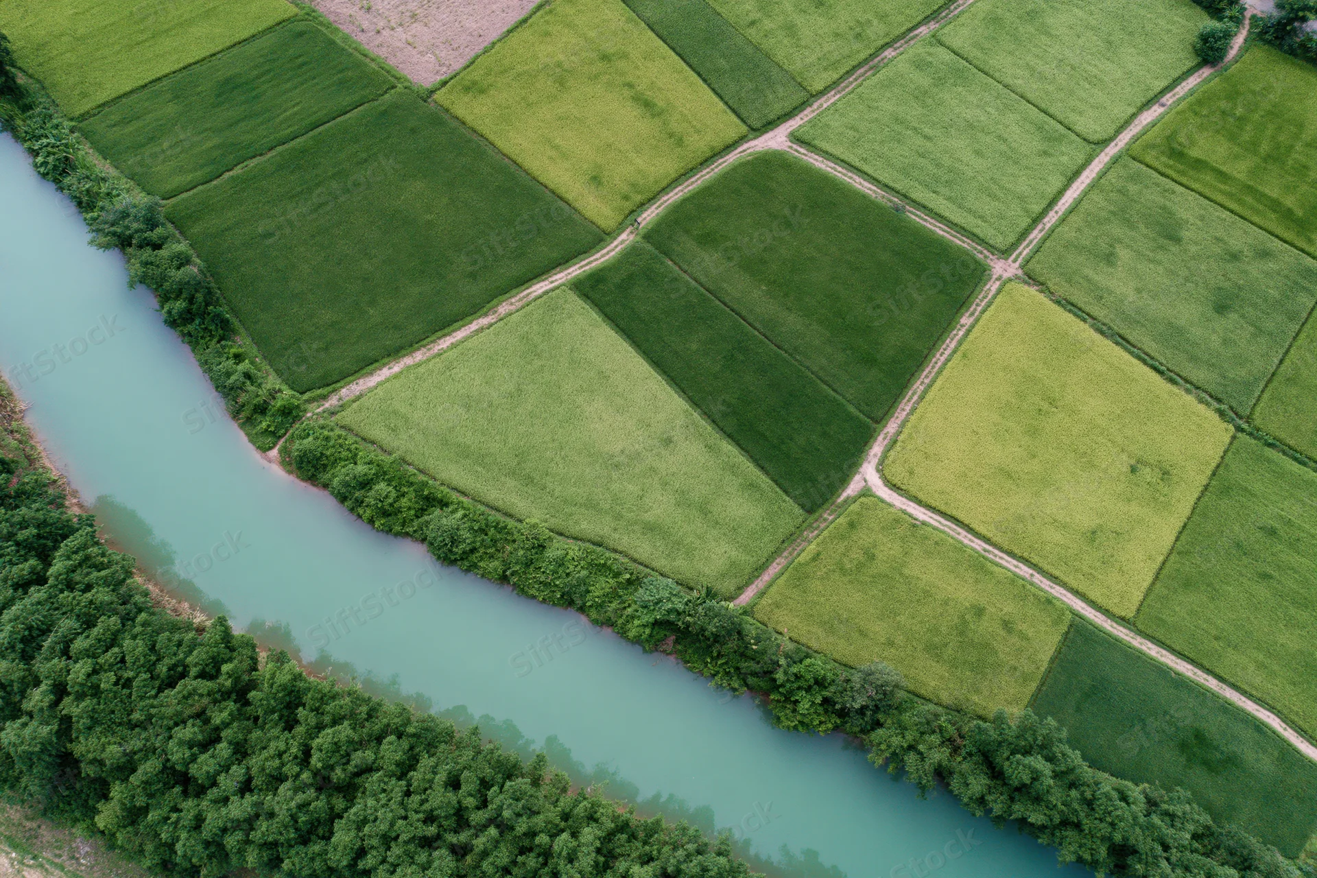 Aerial top-down view of patchwork rice paddies and farmland beside a river