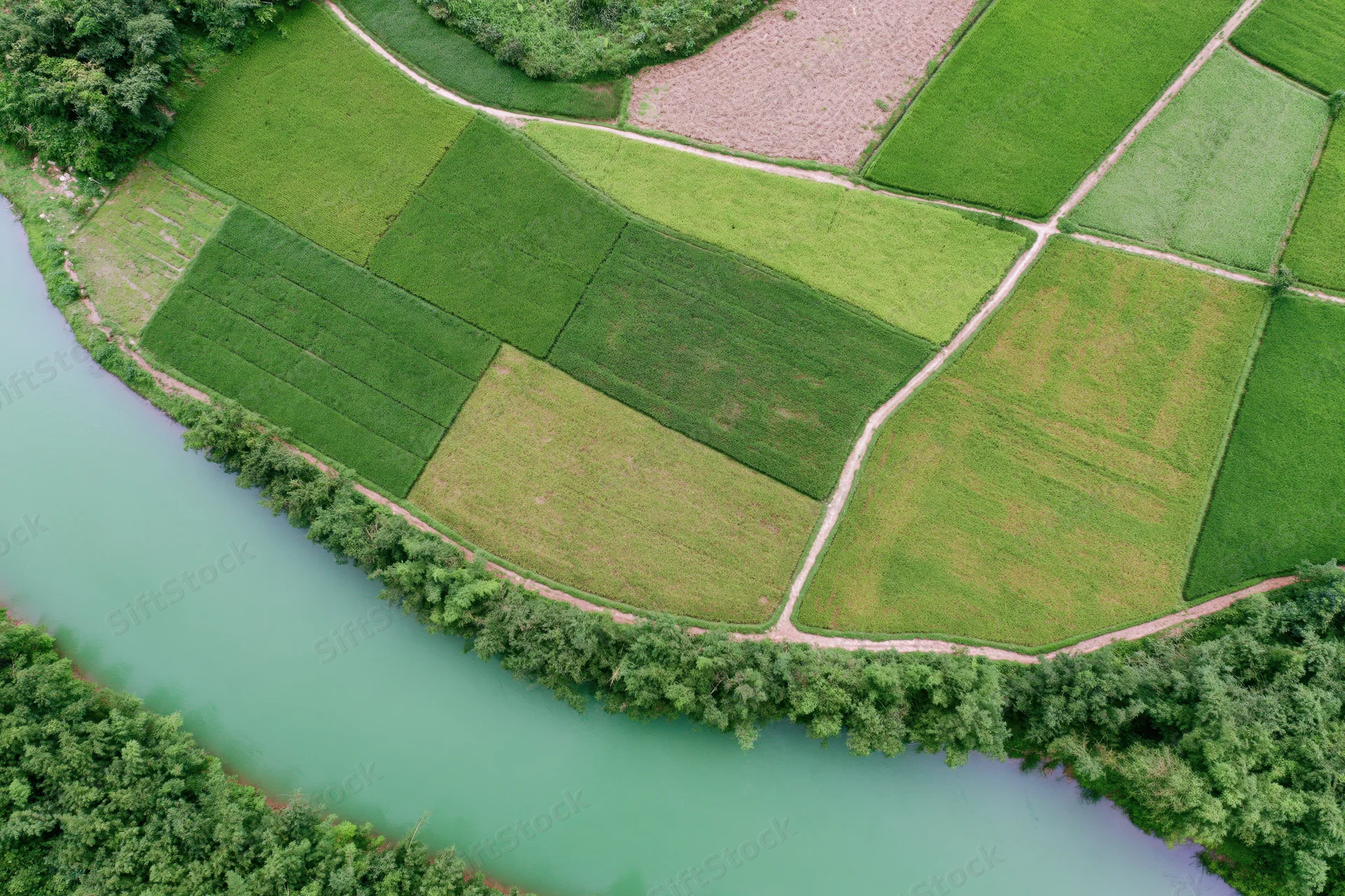 Aerial top-down view of patchwork rice paddies and farmland beside a winding river