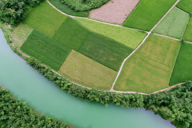 Aerial top-down view of patchwork rice paddies and farmland beside a winding river