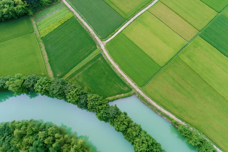 Aerial top-down view of patchwork rice paddies and farmland divided by waterways and dirt paths