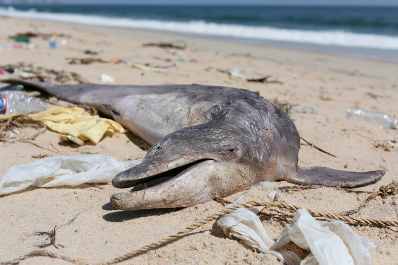 Dead dolphin lying on sandy beach among scattered plastic waste and debris near ocean waves