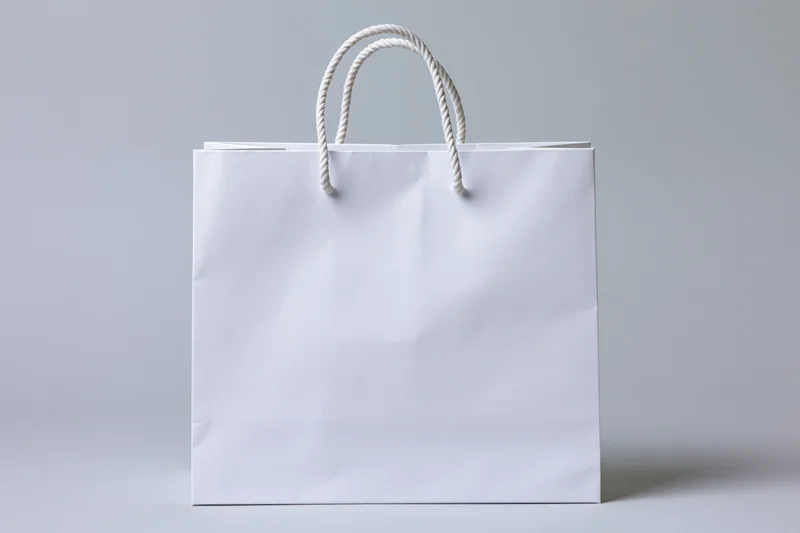Plain white paper shopping bag with rope handles centered on a light gray background