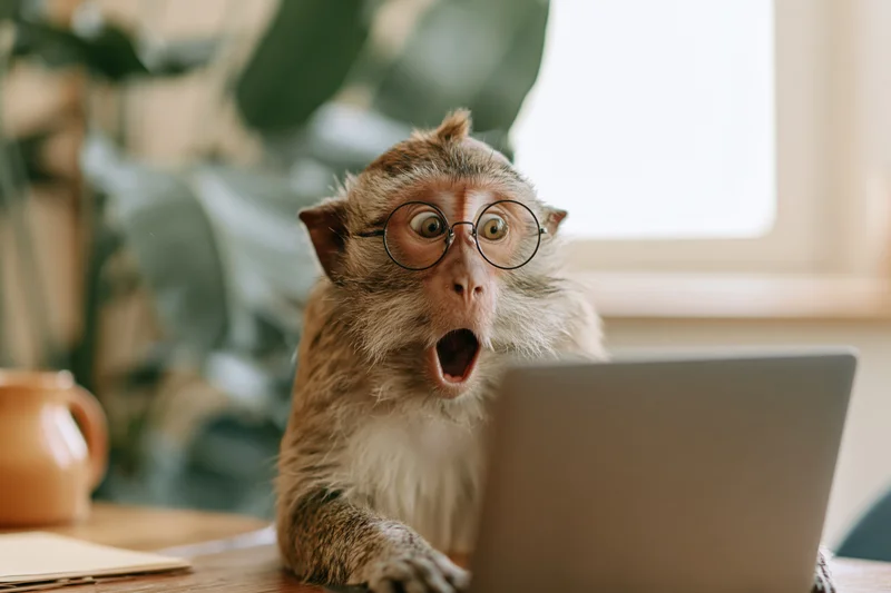 Monkey wearing round wire-frame glasses sitting at a desk with a laptop, mouth open in surprise, indoors near a window and plant