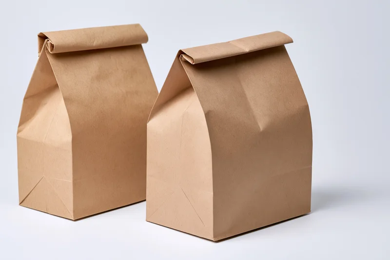 Two brown kraft paper lunch bags standing side by side on a white background