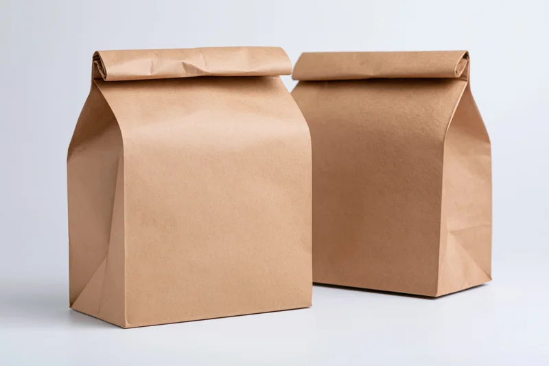 Two brown kraft paper lunch bags standing side by side on white surface