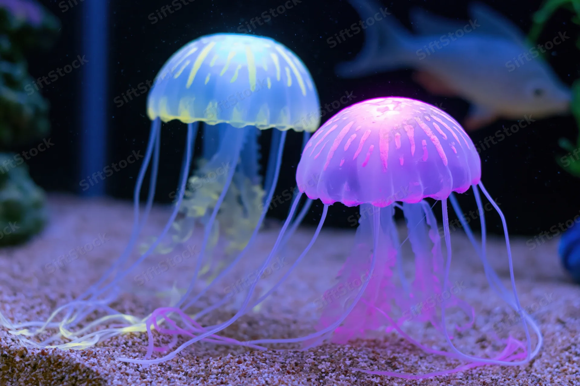 Two glowing silicone jellyfish decorations resting on sandy substrate in aquarium tank