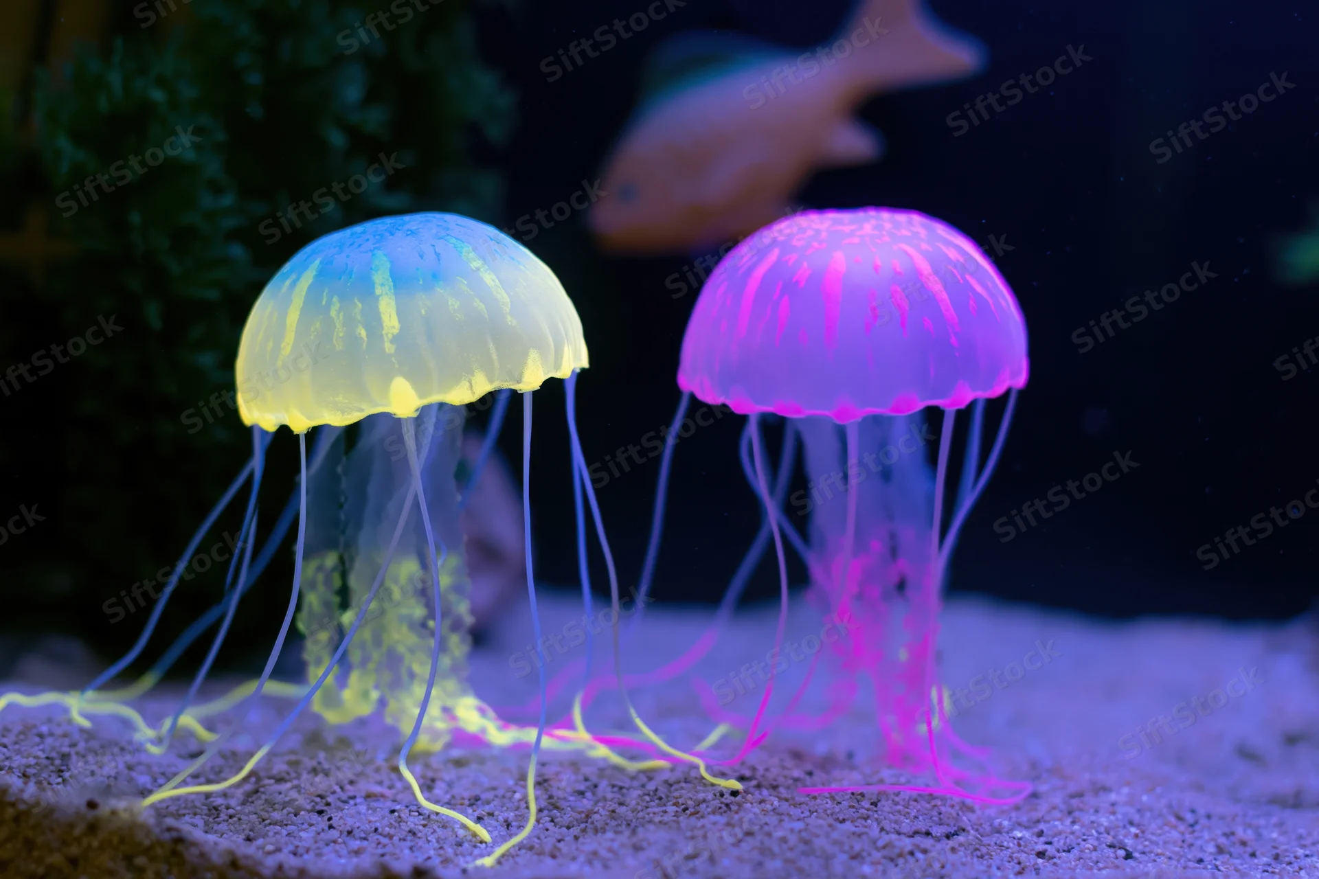 Two glowing silicone jellyfish decorations resting on sand in an aquarium tank