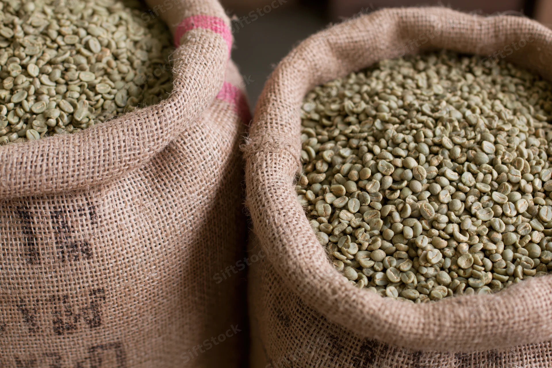 Open burlap sacks filled with raw green coffee beans