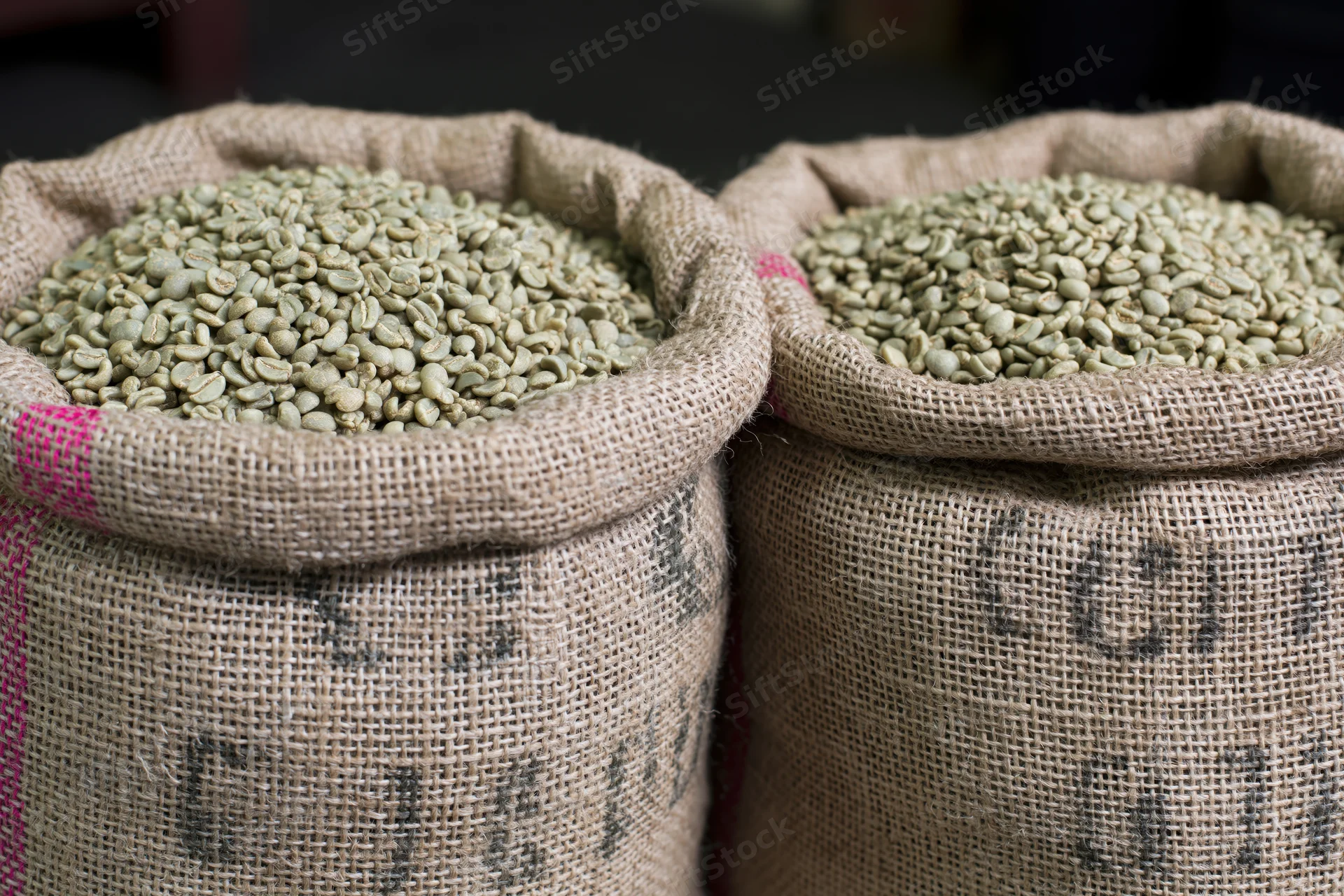 Two open burlap sacks filled with raw green coffee beans side by side