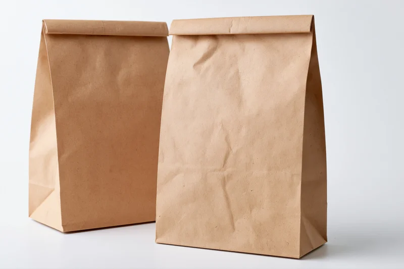 Two plain brown kraft paper bags standing side by side on white background