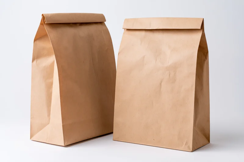 Two plain brown kraft paper bags standing side by side on white background