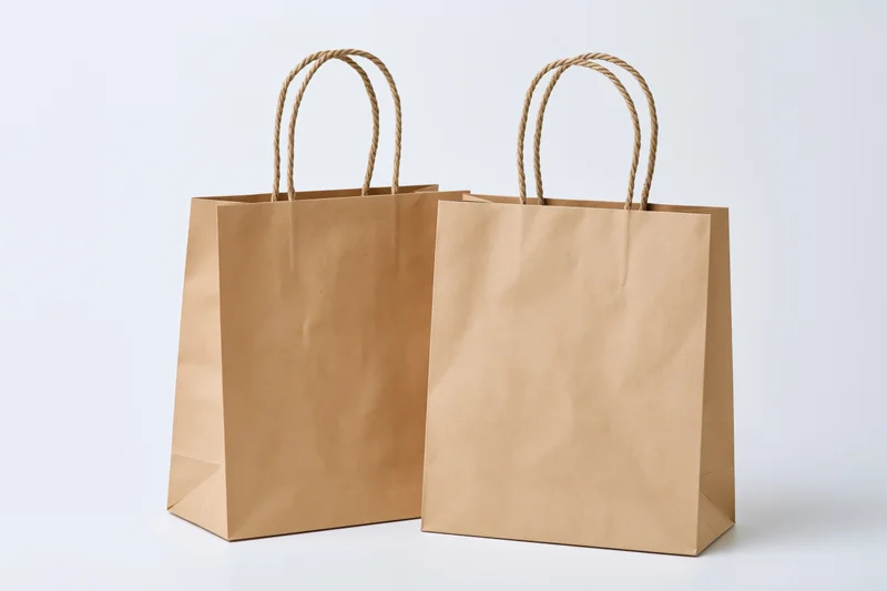 Two plain kraft paper shopping bags with twisted rope handles on white background