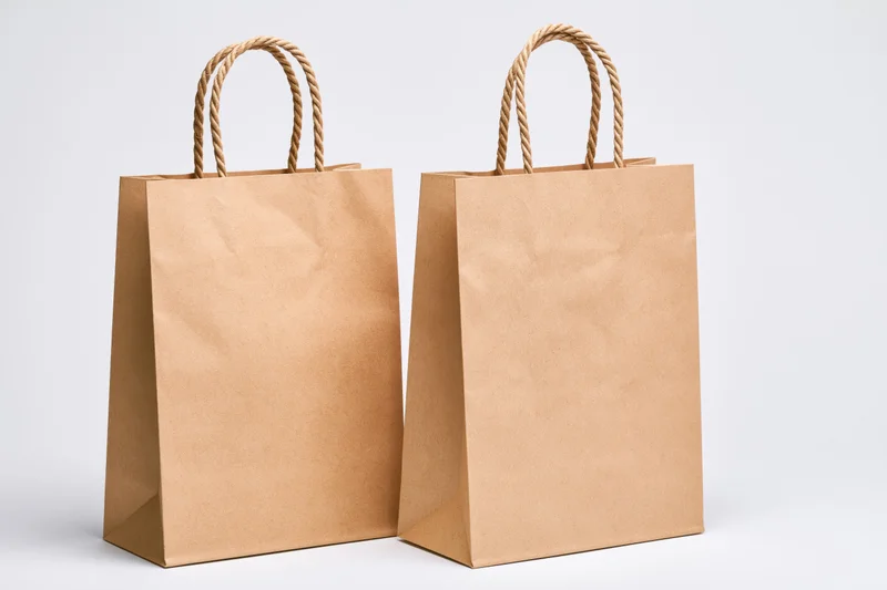 Two plain kraft paper shopping bags with twisted rope handles on white background