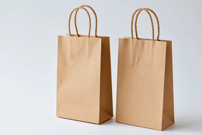 Two plain kraft paper shopping bags with twisted rope handles on white background