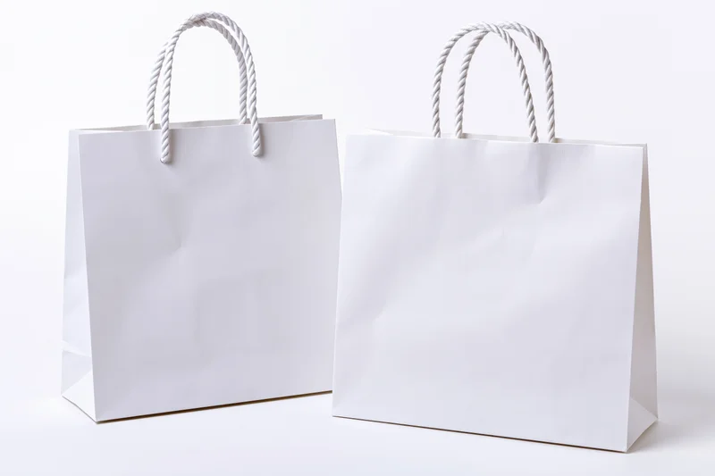 Two plain white paper shopping bags with twisted rope handles on white background