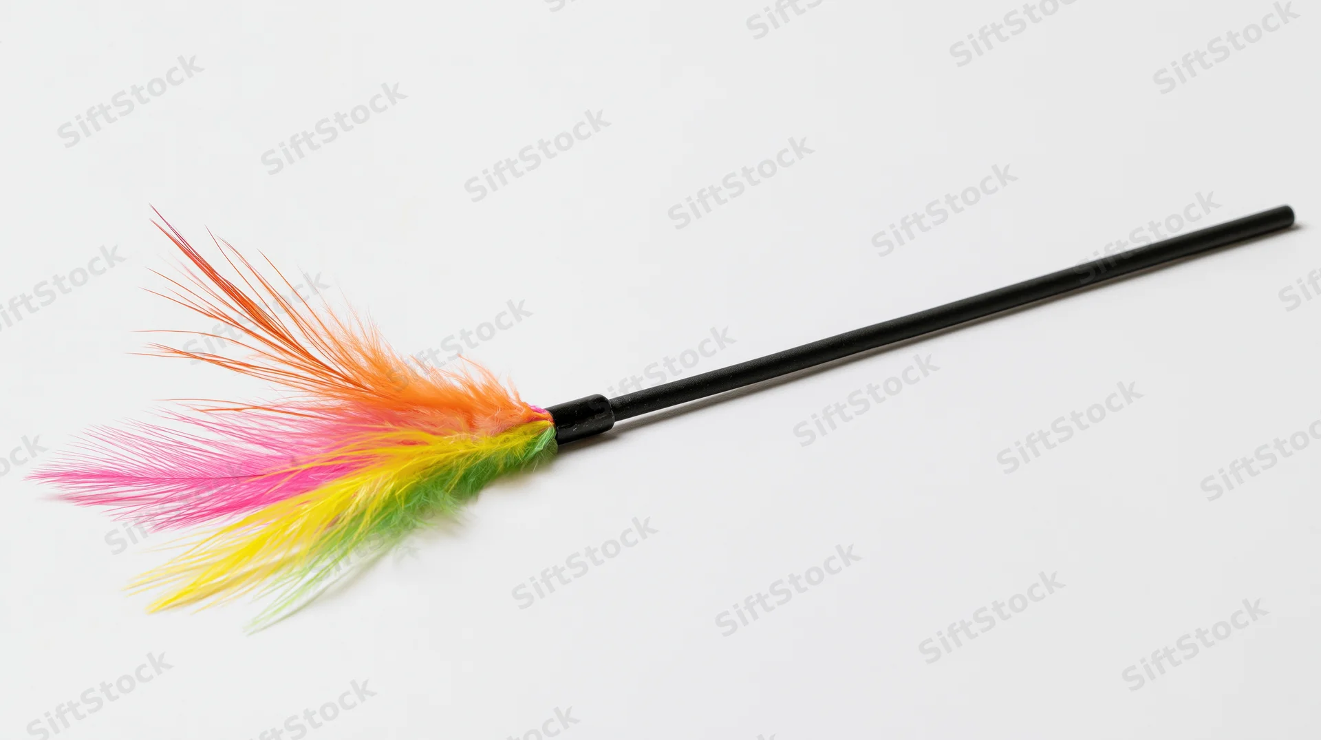 Cat toy wand with colorful feathers on a black flexible rod isolated on white background