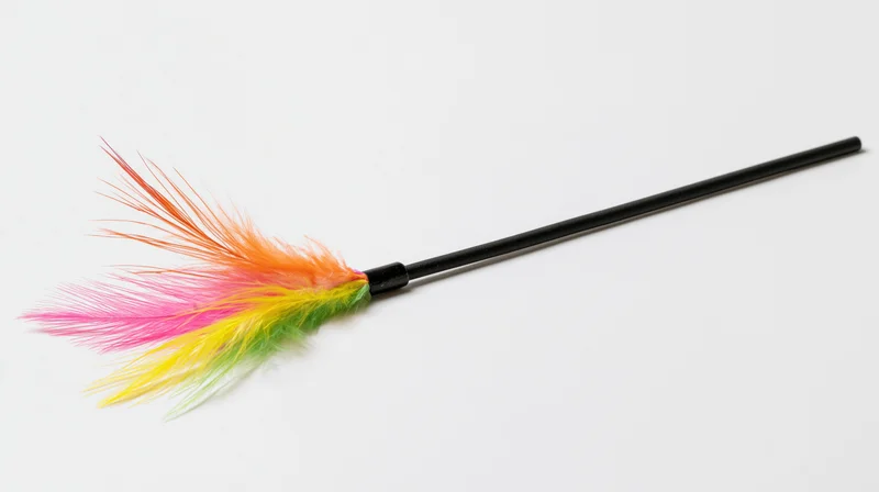 Cat toy wand with colorful feathers on a black flexible rod isolated on white background