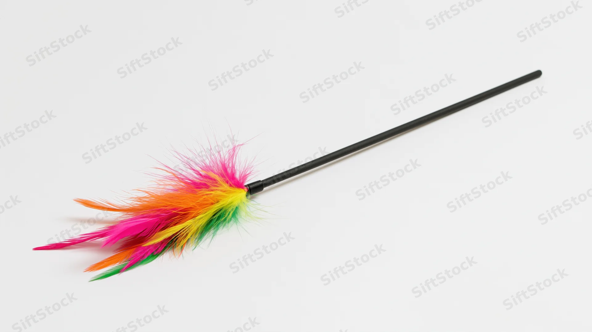 Cat toy wand with colorful feathers on a black flexible rod isolated on white background