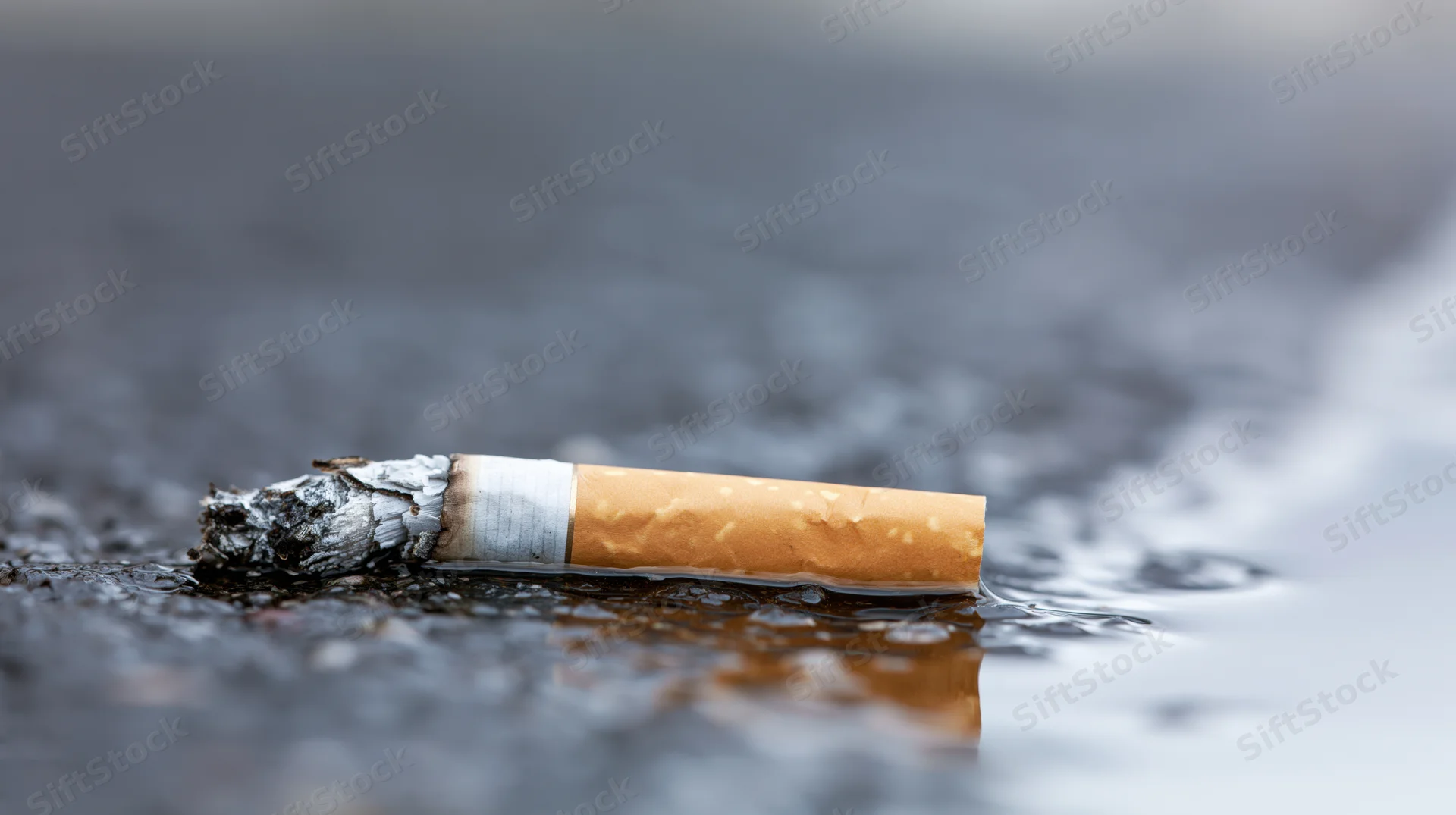 Discarded cigarette butt lying on wet dark asphalt with water reflection