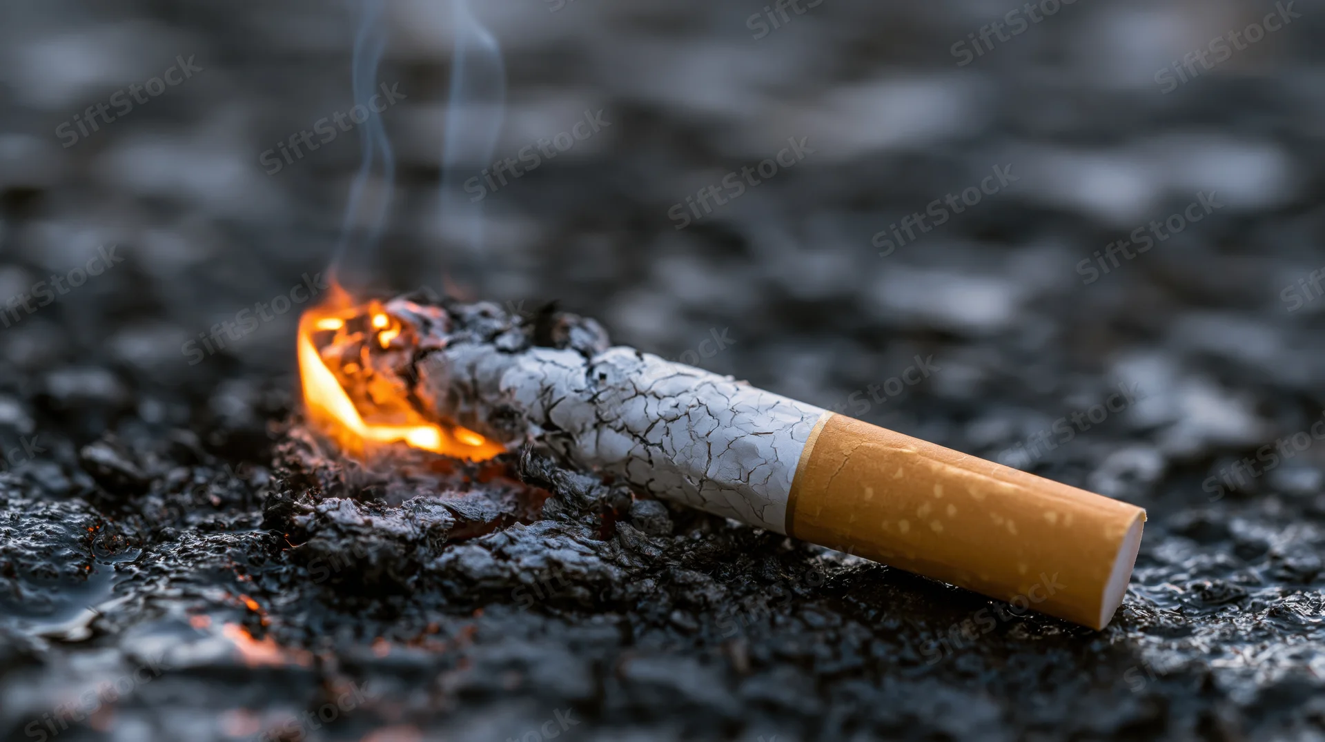 Lit cigarette burning on dark wet asphalt with orange flame and smoke
