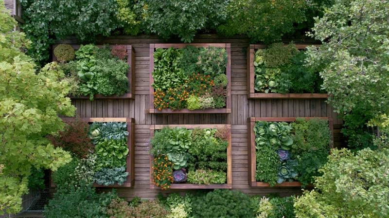 Aerial view of a vertical garden with wooden planters filled with leafy greens and flowers on a backyard wall