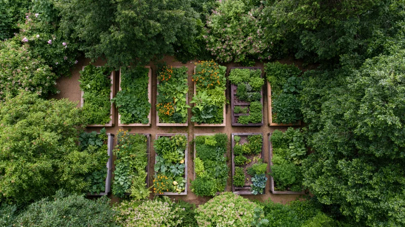 Aerial top-down view of a backyard vegetable garden with ten raised beds surrounded by trees and flowering shrubs