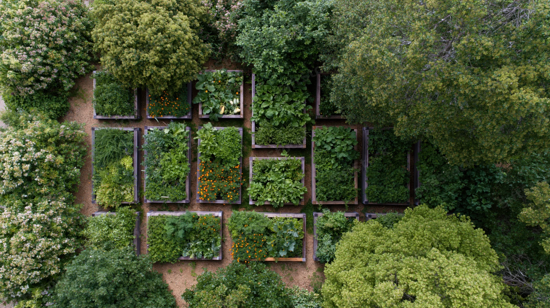 Aerial top-down view of a backyard vegetable garden with raised beds surrounded by trees