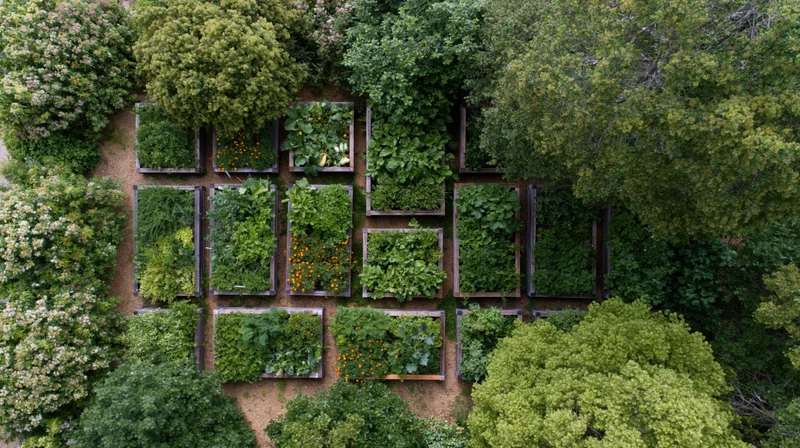 Aerial top-down view of a backyard vegetable garden with raised beds surrounded by trees