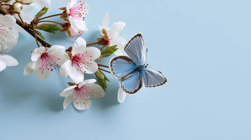 Blue butterfly perched on a cherry blossom branch against a light blue background