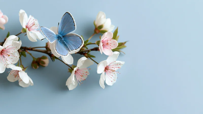 Blue butterfly perched on cherry blossom branch against light blue background