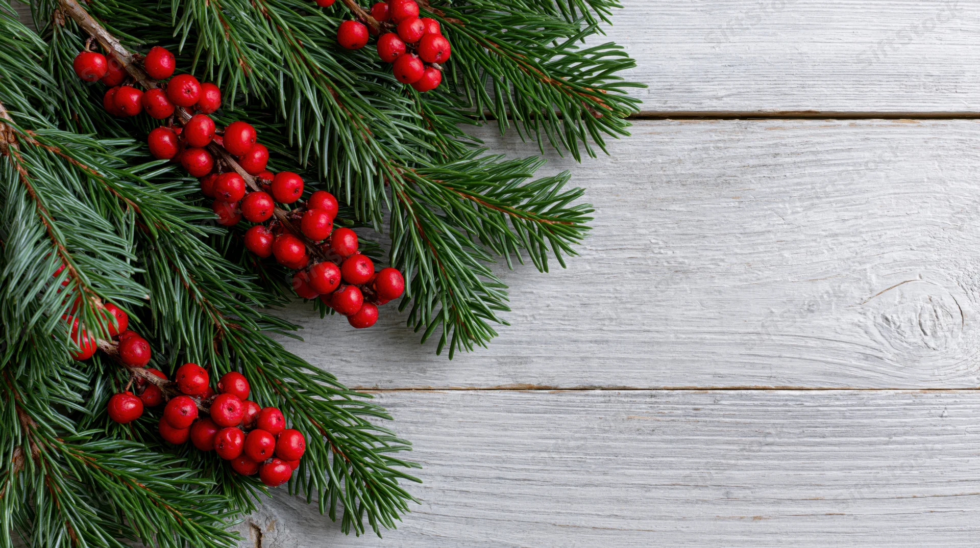 Evergreen fir branches with red berries arranged on a white wooden surface in a flat lay composition