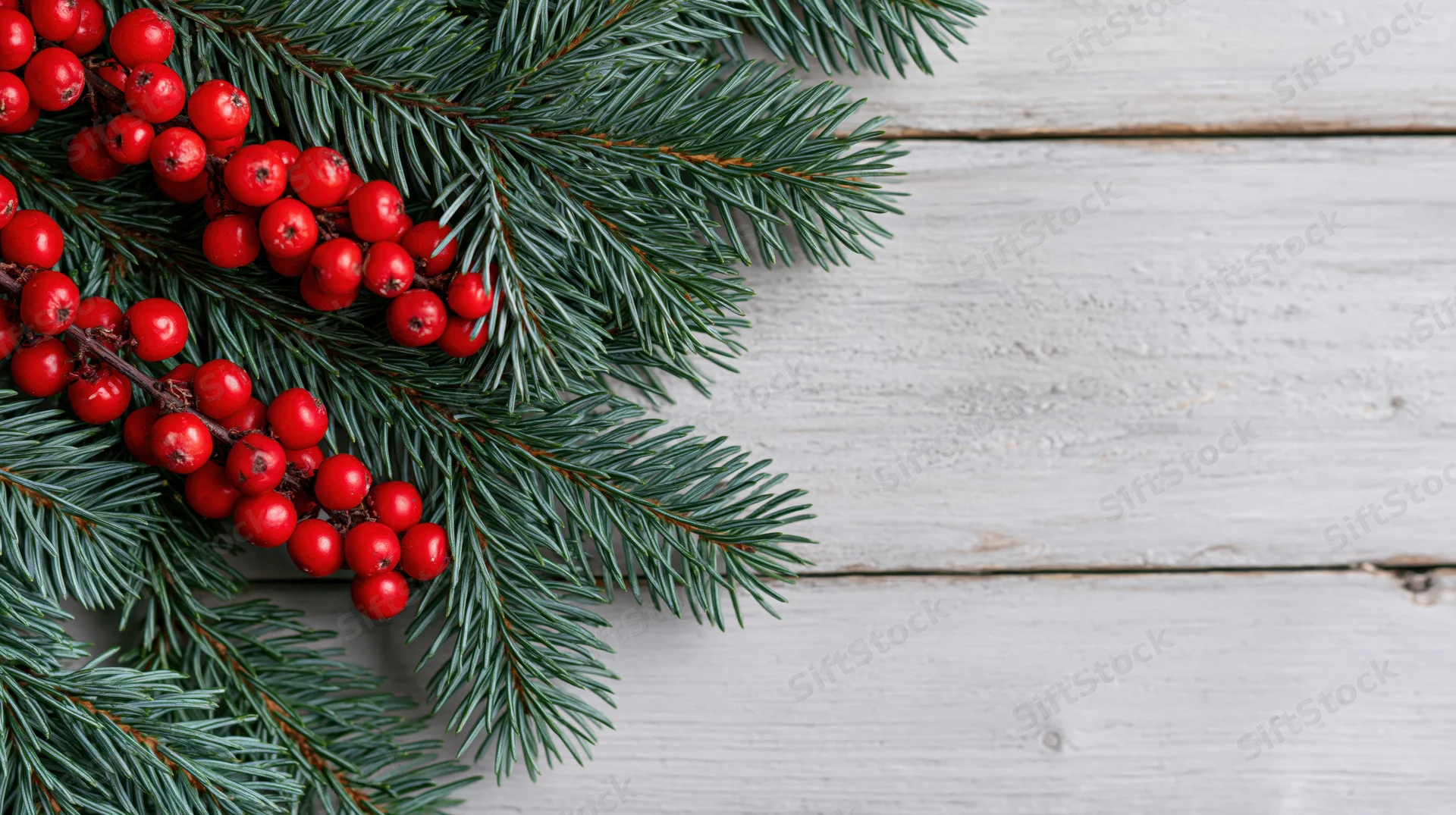 Evergreen fir branches with red berries arranged on a white wooden surface