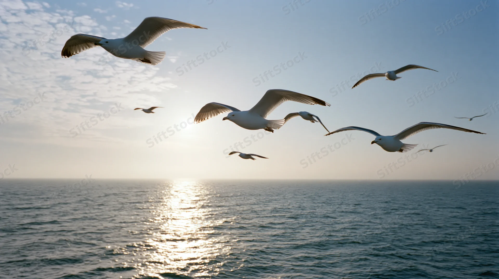 Seagulls flying over the ocean at sunset with sunlight reflecting on the water