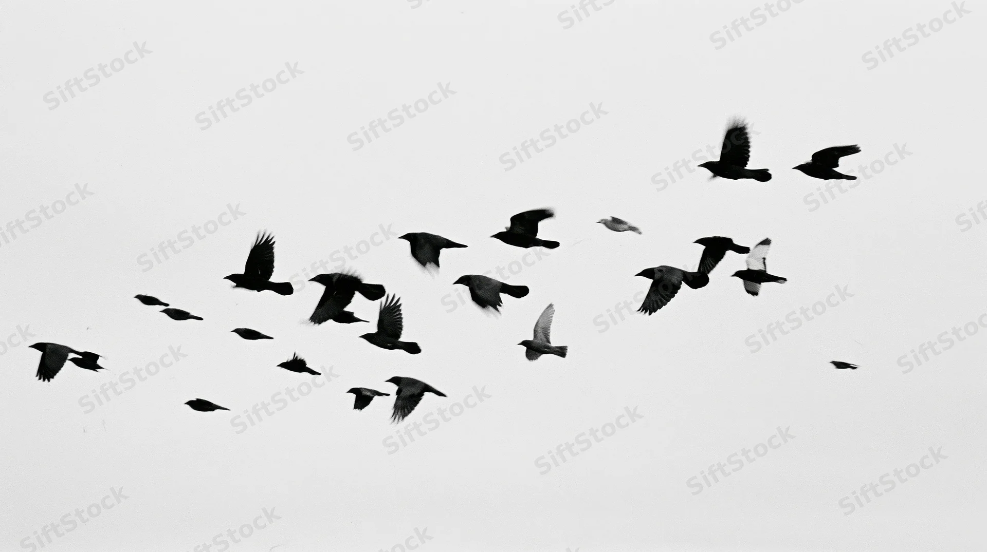 Flock of birds in mid-flight against a white sky