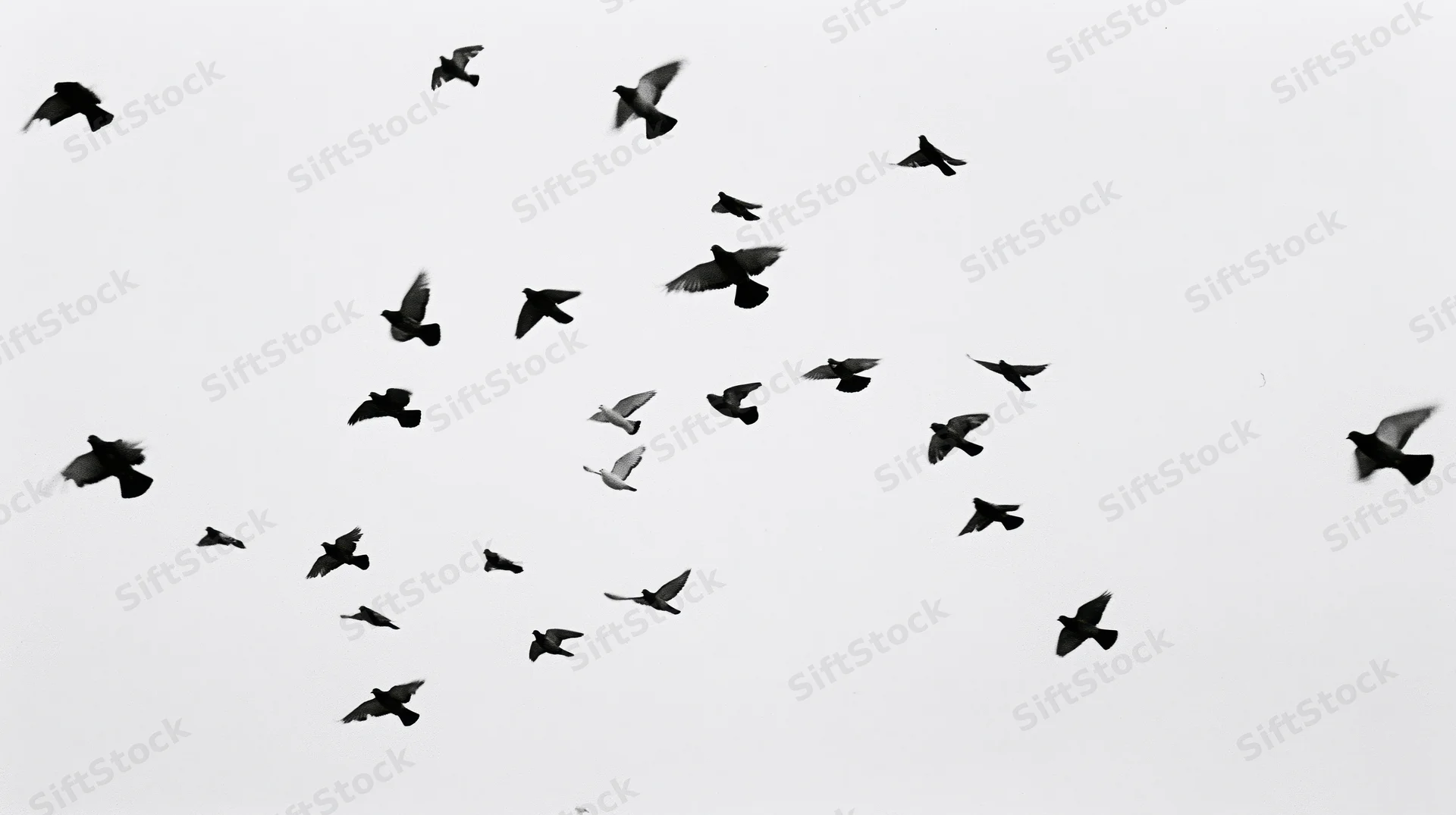Flock of birds in mid-flight against a bright sky