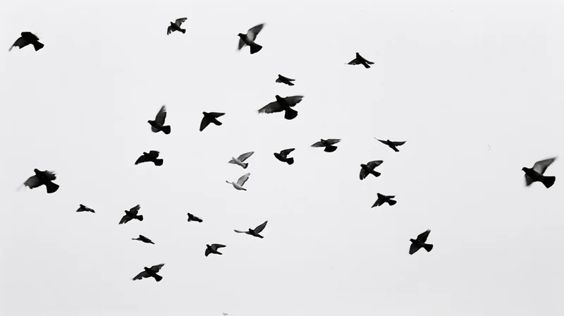Flock of birds in mid-flight against a bright sky