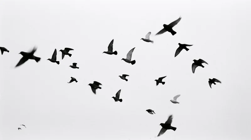 Flock of birds in mid-flight against a bright sky