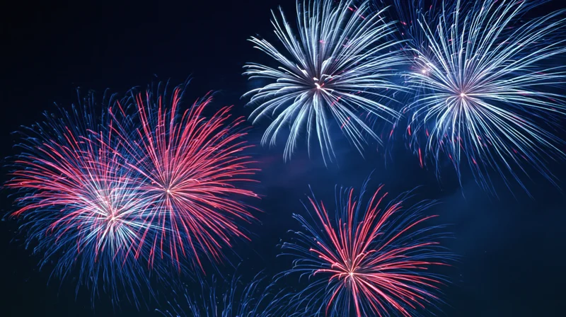 Fireworks bursting in the night sky during a celebration event