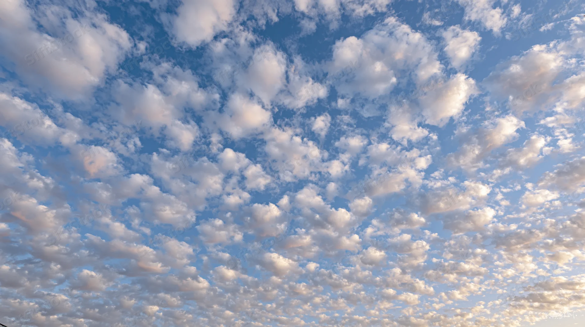 Open sky filled with scattered cumulus clouds during daytime