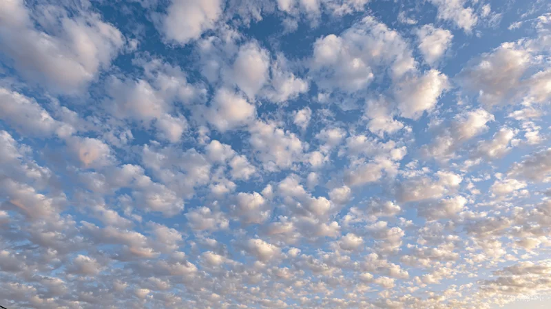 Open sky filled with scattered cumulus clouds during daytime
