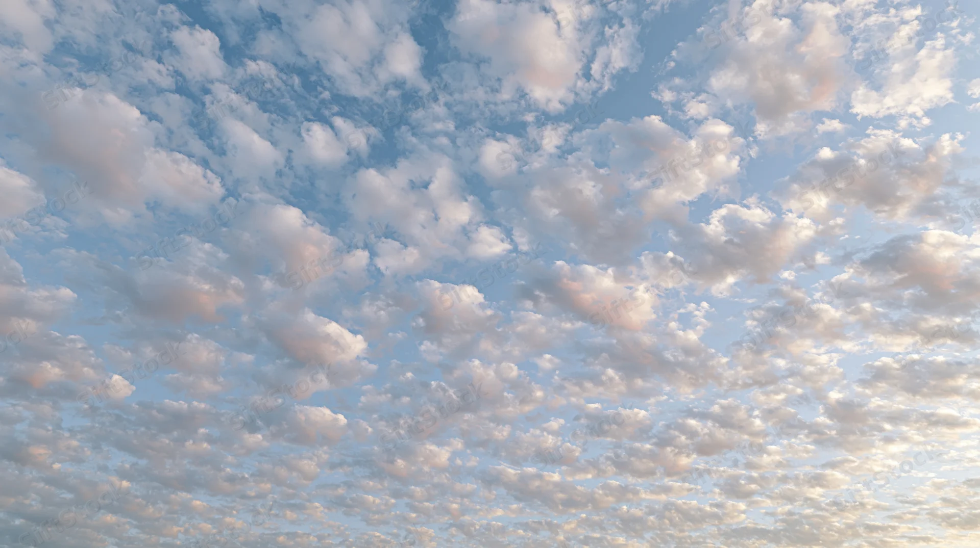 Open sky filled with scattered cumulus clouds during daytime