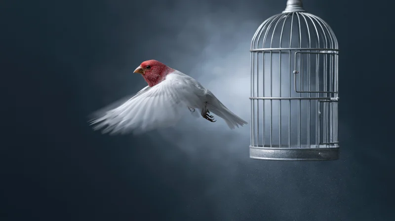 Red-headed bird in mid-flight escaping from a suspended metal cage against a dark smoky background
