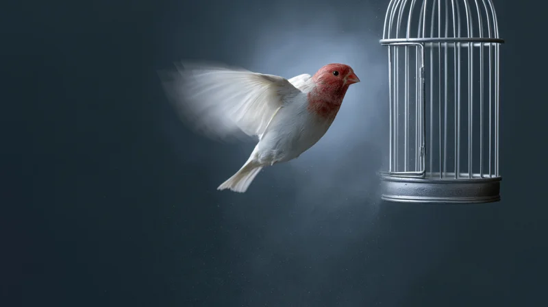 White bird with red head flying away from open metal cage in dark misty space