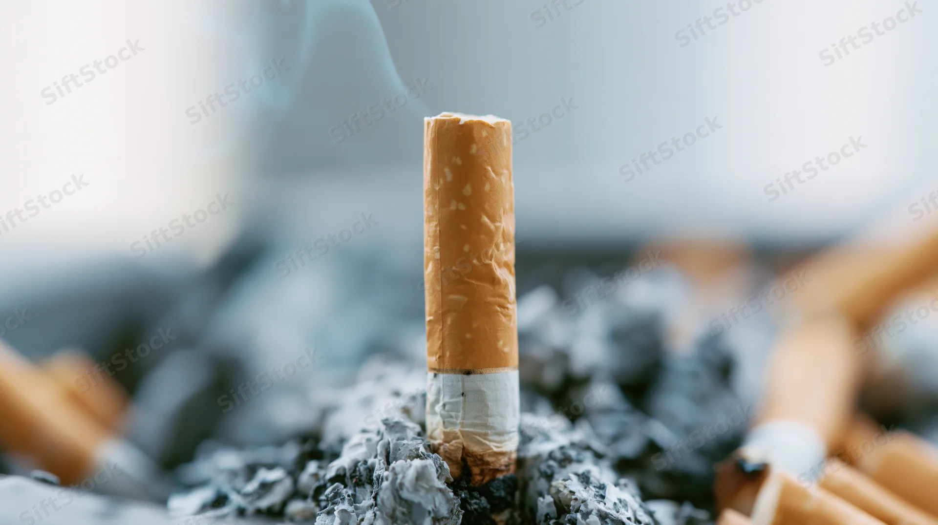 Single cigarette butt standing upright in ash surrounded by discarded butts