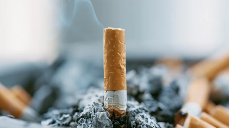 Single cigarette butt standing upright in ash surrounded by discarded butts