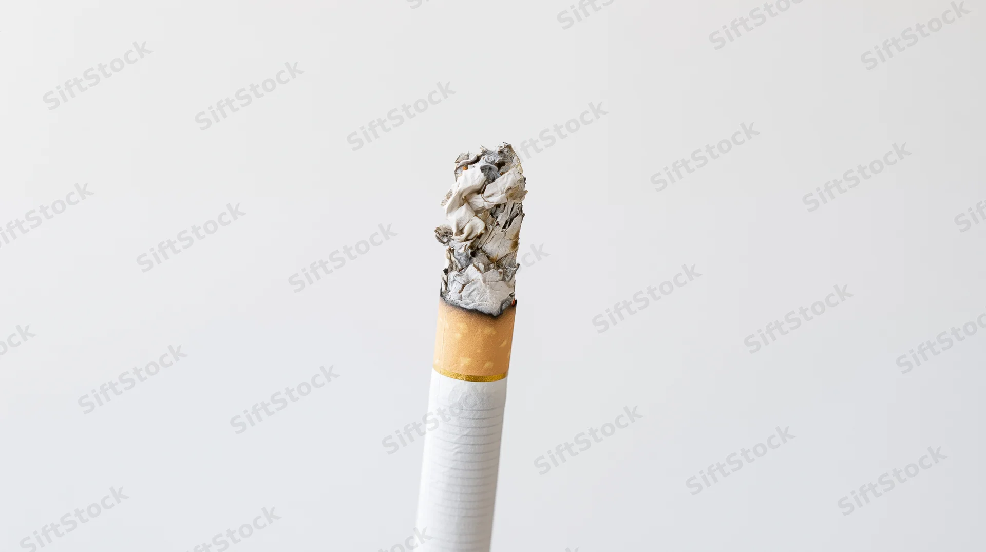 Closeup of a lit cigarette with ash tip standing upright against white background