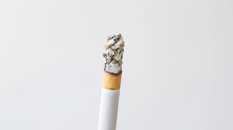 Closeup of a lit cigarette with ash tip standing upright against white background